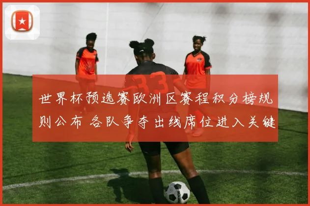 世界杯预选赛欧洲区赛程积分榜规则公布 各队争夺出线席位进入关键阶段